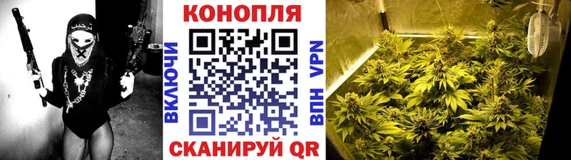 Конопля SATIVA & INDICA  Анива 